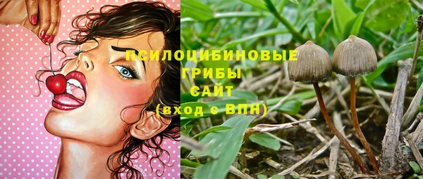 хмурый Абинск