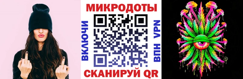 Псилоцибиновые грибы Psilocybe  Железногорск-Илимский 